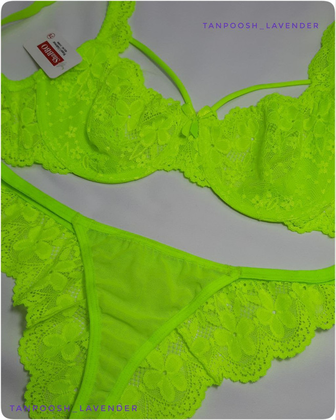 تصویر نمای نزدیک از بندهای هارنس و قسمت بالاتنهی توری